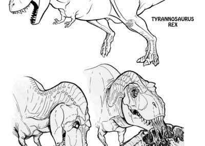 dino_line_drawings_16LR