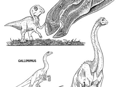 dino_line_drawings_2LR